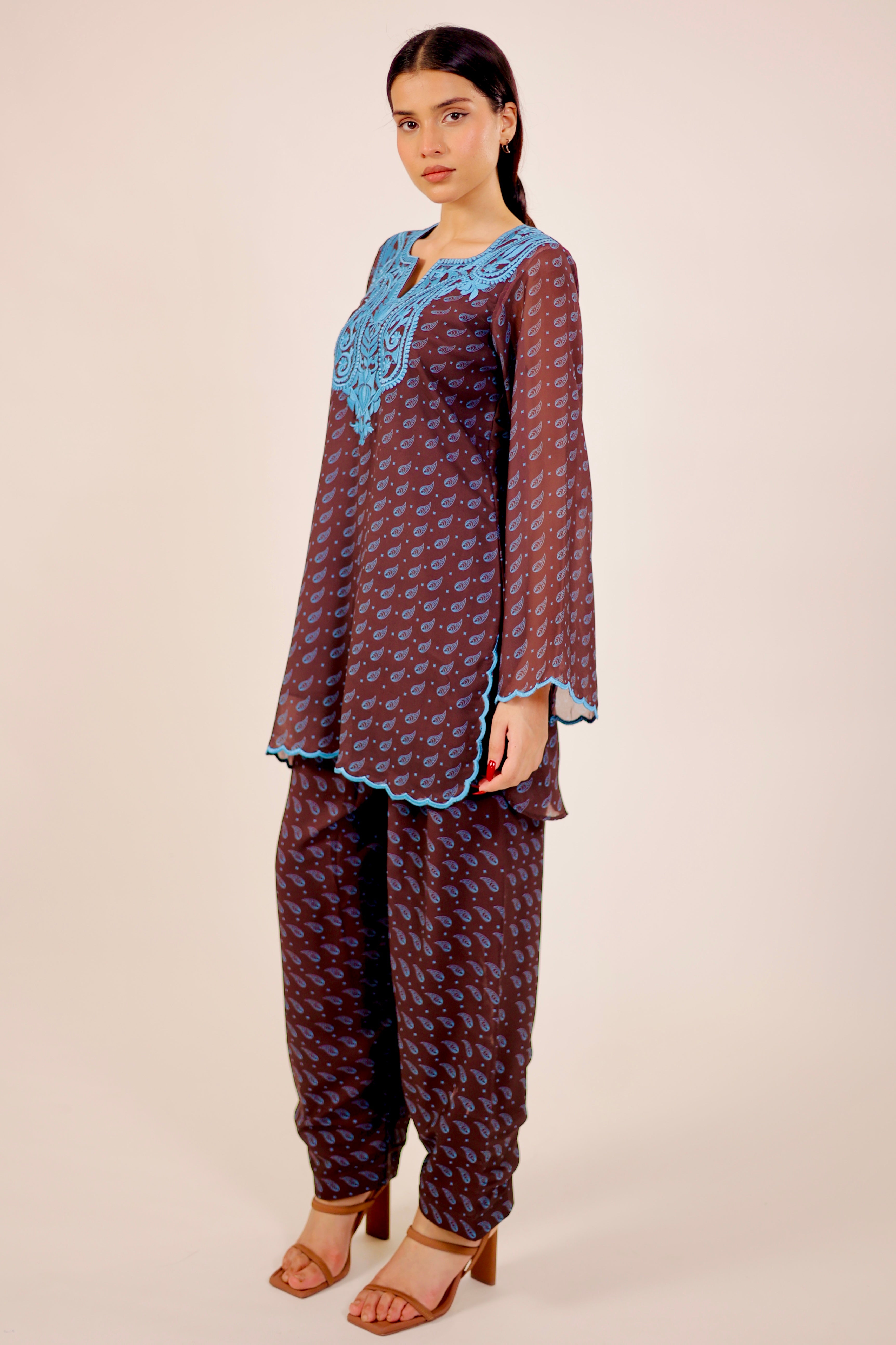 Brown Paisley Embroidered Kurta Set