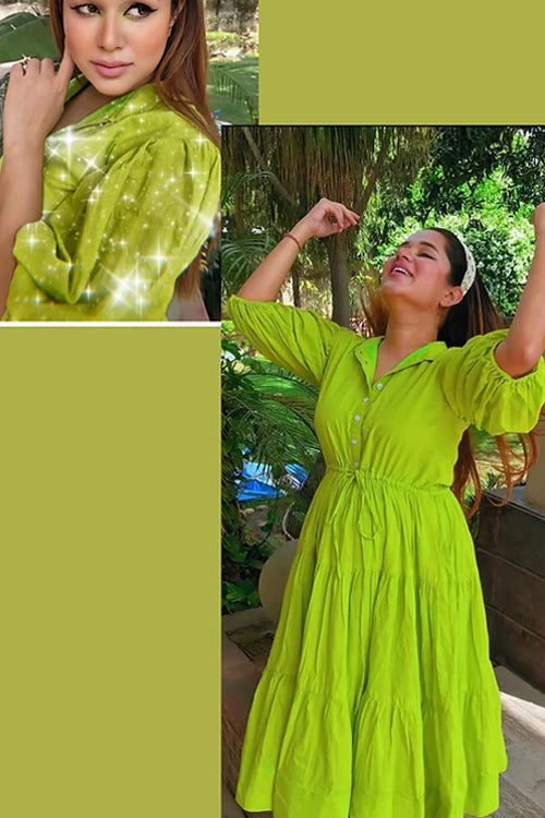 Aarushi Fuchsia Green Maxi Dress
